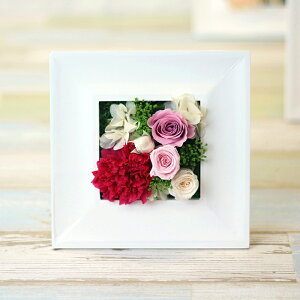 v[g vU[uht[  o AWg Ebht[ XNGA ؐ LO j a Mtg 蕨 j җj X JX J Vz z ސE  