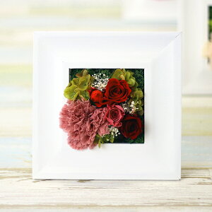 v[g vU[uht[  o AWg Ebht[ XNGA ؐ LO j a Mtg 蕨 j җj X JX J Vz z ސE  