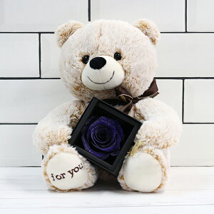 yLO1ʁz v|[Y vU[uht[ o KN  1{ ͂Ȃ   ʂ  efBxA A[T _Ch[Y   j LO 