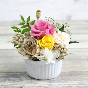 v[g vU[uht[ ͂Ȃ  o J[l[V ~jTCY AWg KN [Y j LO ސEj a o[Xf[   җj Mtg t