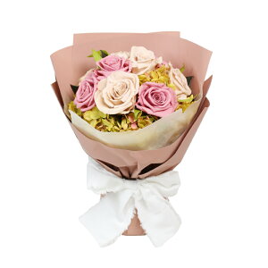 LO v[g ͂Ȃ  ԑ o AWg Mtg Nj 蕨 u[P bZ[WJ[h   v e Fl 9{ j t[Mtg ԑv[g bZ[WJ