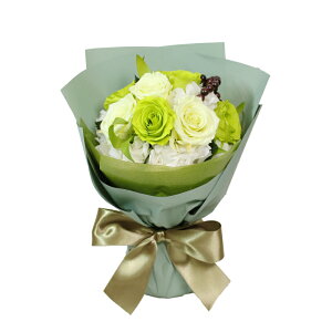 LO v[g ͂Ȃ  ԑ o AWg Mtg Nj 蕨 u[P bZ[WJ[h   v e Fl 9{ j t[Mtg ԑv[g bZ[WJ