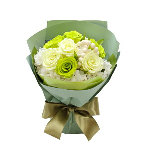 LO v[g ͂Ȃ  ԑ o AWg Mtg Nj 蕨 u[P bZ[WJ[h   v e Fl 9{ j t[Mtg ԑv[g bZ[WJ