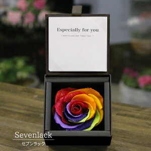 yyVLO1ʁz v|[Y NX}X vU[uht[ o ͂Ȃ  LO M KN  1{ TvCY A[T _Ch[Y  v[g   