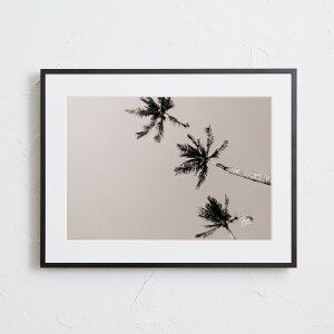 A[g G |X^[yHawaii palm tree IVzt[ʔ nC V̖ i iF mg[ ݃O[ ʐ^ photo A4 A3 A2yMake Sensez mahalove-aloha-104