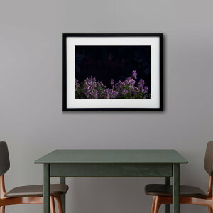 wyVX[p[SALE ݌Ɉ| ixA[g G |X^[yf_003 TCYA4iSjiؐt[tjzA[g|X^[ ʐ^ {  pW[ iiF photo japan Pansy flower A4TCY zt