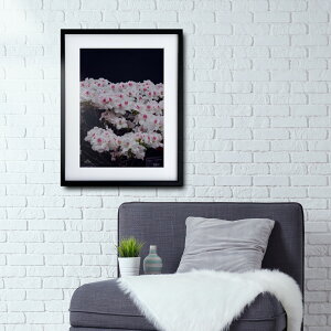 wyVX[p[SALE ݌Ɉ| ixA[g G |X^[yf_013 TCYA4iSjiؐt[tjzA[g|X^[ ʐ^ {  AUA ccW iiF photo japan flower A4TCY z