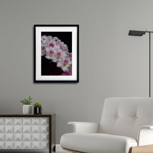 A[g G |X^[yf_014 TCYA4iSjiؐt[tjzA[g|X^[ ʐ^ {  AUA ccW iiF photo japan flower A4TCY ztyMake Sensez wsf014-d9101a