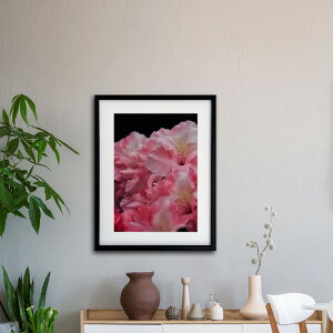 A[g G |X^[yf_016 TCYA4iSjiؐt[tjzA[g|X^[ ʐ^ {  AUA ccW iiF photo japan flower A4TCY ztyMake Sensez wsf016-d9101a