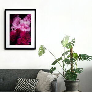 A[g G |X^[yf_023 TCYA4iSjiؐt[tjzA[g|X^[ ʐ^ {  AUA iiF photo japan flower A4TCY ztyMake Sensez wsf023-d9101a