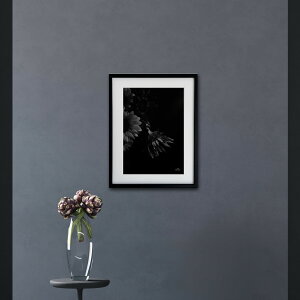 A[g G |X^[yf_029 TCYA4iSjiؐt[tjzA[g|X^[ ʐ^ {  Ђ܂ mg[ iiF photo japan flower A4TCY ztyMake Sensez wsf029-d9101a