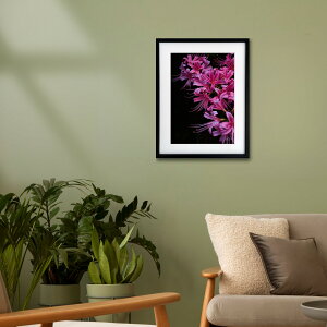 A[g G |X^[yf_039 TCYA4iSjiؐt[tjzA[g|X^[ ʐ^ {  ފ݉ iiF photo japan flower A4TCY ztyMake Sensez wsf039-d9101a