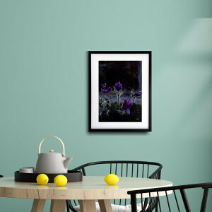 A[g G |X^[yf_046 TCYA4iSjiؐt[tjzA[g|X^[ ʐ^ {  ILiOT iiF photo japan flower A4TCY ztyMake Sensez wsf046-d9101a