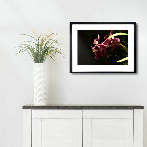 A[g G |X^[yf_055 TCYA4iSjiؐt[tjzA[g|X^[ ʐ^ {  V iiF photo japan flower A4TCY ztyMake Sensez wsf055-d9101a