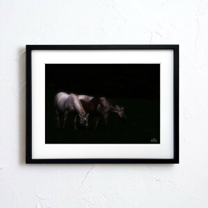 A[g G |X^[yn_027 TCYA4iSjiؐt[tjzA[g|X^[ ʐ^ { iiF n Horse photo japan nature A4TCY ztyMake Sensez wsn027-d9101a