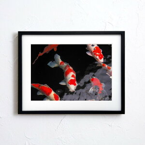 A[g G |X^[yn_029 TCYA4iSjiؐt[tjzA[g|X^[ ʐ^ { iiF  ь carp photo japan A4TCY ztyMake Sensez wsn029-d9101a