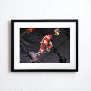 A[g G |X^[yn_030 TCYA4iSjiؐt[tjzA[g|X^[ ʐ^ { iiF  ь carp photo japan A4TCY ztyMake Sensez wsn030-d9101a