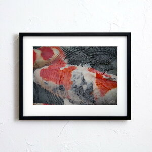 A[g G |X^[yn_035 TCYA4iSjiؐt[tjzA[g|X^[ ʐ^ { iiF  ь carp photo japan A4TCY ztyMake Sensez wsn035-d9101a