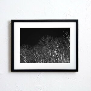 A[g G |X^[yn_049 TCYA4iSjiؐt[tjzA[g|X^[ ʐ^ { iiF R X  mg[ Nature photo japan A4TCY ztyMake Sensez wsn049-d9101a