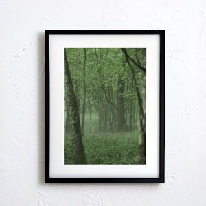 アート 絵 ポスター【n_063 サイズA4(S)(※木製フレーム付き)】アートポスター 写真 日本 風景景色 自然 森 樹 forest nature photo japan A4サイズ 額縁付【Make Sense】 #wsn063-d9101a