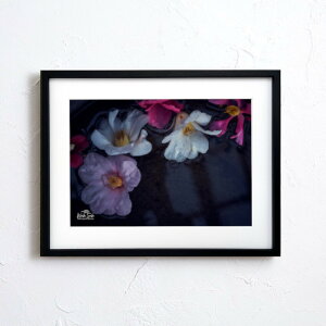 A[g G |X^[yf2_072 TCYA4iSjiؐt[tjzA[g|X^[ ʐ^ {   coL camellia iiF photo japan flower A4TCY ztyMake Sensez wsf072-d9101a