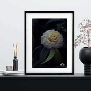A[g G |X^[yf2_084 TCYA4iSjiؐt[tjzA[g|X^[ ʐ^ {  iiF photo japan flower A4TCY ztyMake Sensez wsf2-084-d9101a