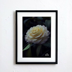 A[g G |X^[yf2_087 TCYA4iSjiؐt[tjzA[g|X^[ ʐ^ {  iiF photo japan flower A4TCY ztyMake Sensez wsf2-087-d9101a
