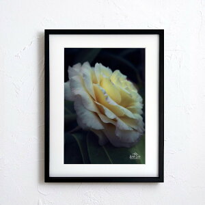 A[g G |X^[yf2_089 TCYA4iSjiؐt[tjzA[g|X^[ ʐ^ {  iiF photo japan flower A4TCY ztyMake Sensez wsf2-089-d9101a
