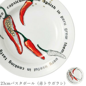  pX^MySpago 23cmpX^{[iԃgEKVjzXgH k mH 킢 studio010 ZĂ uh  { Hyۓz