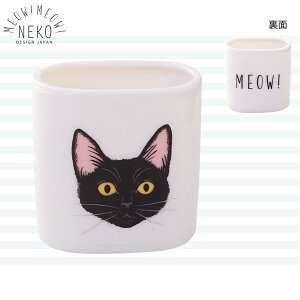 ˂yMEOWIMEOWI 悤āzlR L 킢 Vv H {yqz