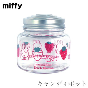 ~btB[ H َq KXyMIFFY STRAWBERRY LfB|bgzObY 킢 Vv  kyz