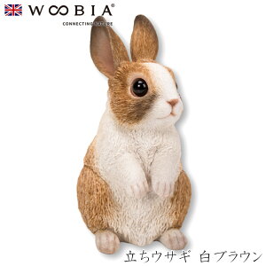 E[rA Woobia yETM uEz (8cm×s7cm×13.5cmj킢 u A   CeA K[fjO CMX l` Aj}I[ig ybg 4582756131031