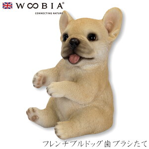 wyVX[p[SALE ݌Ɉ| ixE[rA Woobia yt`uhbOuVāz (7.5cm×s6cm×10.5cmj  Ck hbO 킢 u  CeA K[fjO C