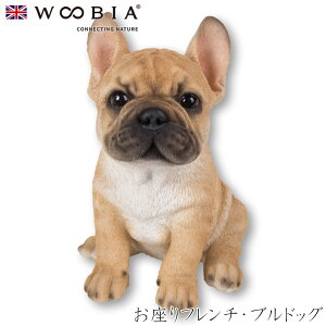 E[rA Woobia yt`EuhbOz (10.7cm×s14.2cm×16cmj  Ck hbO dog 킢 u  CeA K[fjO CMX l` Aj}I[ig yb