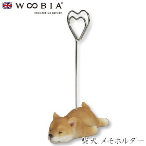 E[rA Woobia yČ z_[z (7cm×s4cm×11cmj  Ck hbO dog 킢 u A   CeA K[fjO CMX l` Aj}I[ig y