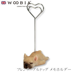 E[rA Woobia yt`EuhbO z_[z (7cm×s4cm×11cmj  Ck hbO dog 킢 u  CeA K[fjO CMX l` Aj}I[i