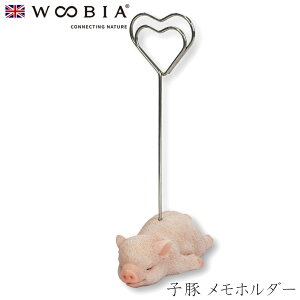 E[rA Woobia yq z_[z (7cm×s4cm×11cmj킢 u A   CeA K[fjO CMX l` Aj}I[ig ybg 4582756131352
