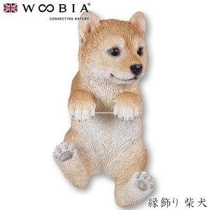 E[rA Woobia y Čz (7.8cm×s7cm×13.5cmj  Ck hbO dog 킢 u A   CeA K[fjO CMX l` Aj}I[ig yb