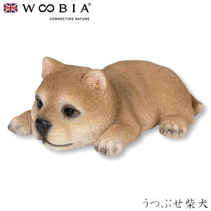 E[rA Woobia yԂČz (8.8cm×s5.3cm×3.5cmj  Ck hbO dog 킢 u A   CeA K[fjO CMX l` Aj}I[ig y