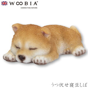 E[rA Woobia yQ΁z (10cm×s6cm×3.7cmj  Ck hbO dog 킢 u A   CeA K[fjO CMX l` Aj}I[ig 