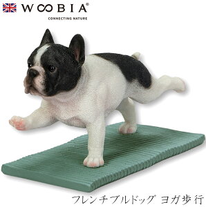 E[rA Woobia yt`uhbO Ksz (12.5cm×s6cm×8cmj  Ck hbO dog 킢 u  CeA K[fjO CMX l` Aj}I[ig y