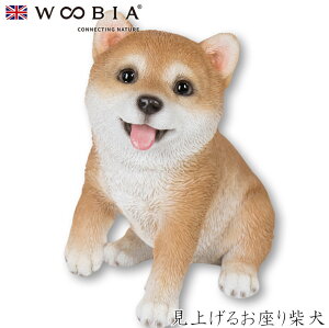 E[rA Woobia yグ邨Čz (11.7cm×s8cm×12.5cmj  Ck hbO 킢 u A   CeA K[fjO CMX l` Aj}I[ig 
