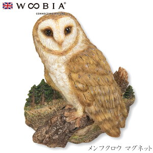 wyVX[p[SALE ݌Ɉ| ixE[rA Woobia ytNE }Olbgz (6cm×s2cm×7cmj킢 u A   CeA K[fjO CMX l` A