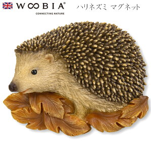 E[rA Woobia ynlY~ }Olbgz (6.9cm×s2.3cm×5.3cmj킢 u A   CeA K[fjO CMX l` Aj}I[ig ybg 45827561395