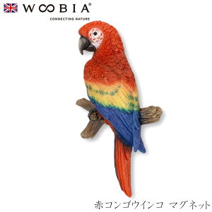E[rA Woobia yԃRSECR }Olbgz (5cm×s1.7cm×9.5cmj킢 u A   CeA K[fjO CMX l` Aj}I[ig ybg 4582