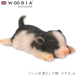 E[rA Woobia yԂsN }Olbgz (12.8cm×s6.7cm×5cmj킢 u A   CeA K[fjO CMX l` Aj}I[ig ybg 