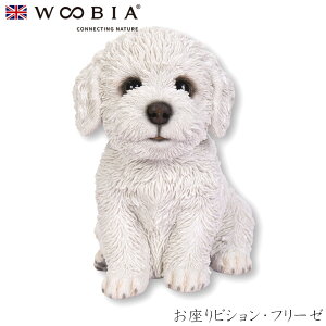 E[rA Woobia yrVEt[[z (18.5cm×s13cm×18.3cmj  Ck hbO 킢 u  CeA K[fjO CMX l` Aj}I[ig yb
