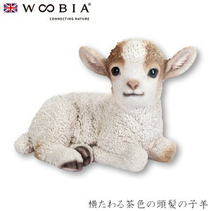 E[rA Woobia y钃F̓̎qrz (23.4cm×s14.9cm×15.2cmj킢 u A   CeA K[fjO CMX l` Aj}I[ig ybg 458