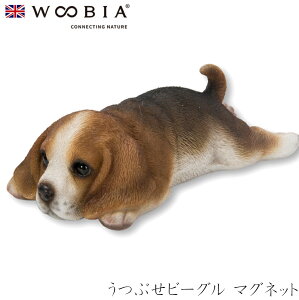 E[rA Woobia yԂr[O }Olbgz (13cm×s6.7cm×4.2cmj  Ck hbO 킢 u A  CeA K[fjO CMX l` Aj}I[i