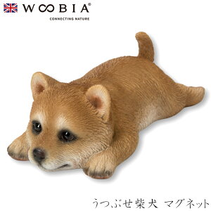 E[rA Woobia yԂČ }Olbgz (13cm×s6cm×4.5cmj  Ck hbO dog 킢 u A  CeA K[fjO CMX l` Aj}I[ig
